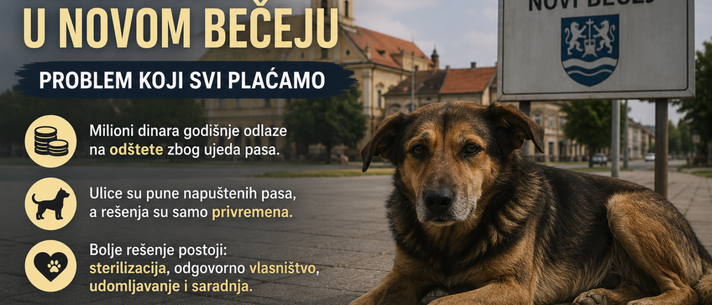 PSI LUTALICE U NOVOM BEČEJU: Da li građani plaćaju cenu nepostojanja dugoročnog rešenja?